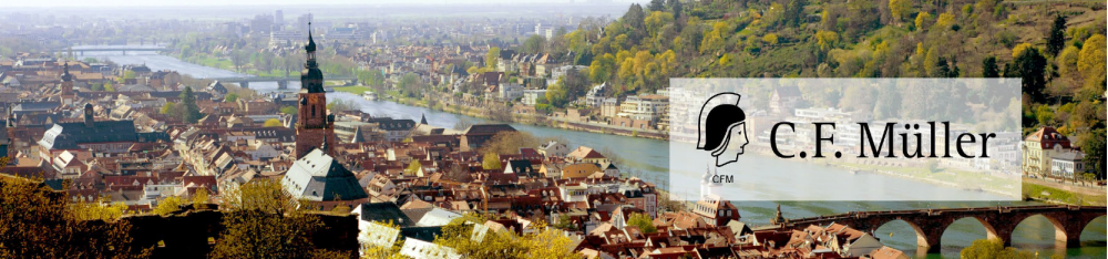 Schmuckbild Blick auf Heidelberg
